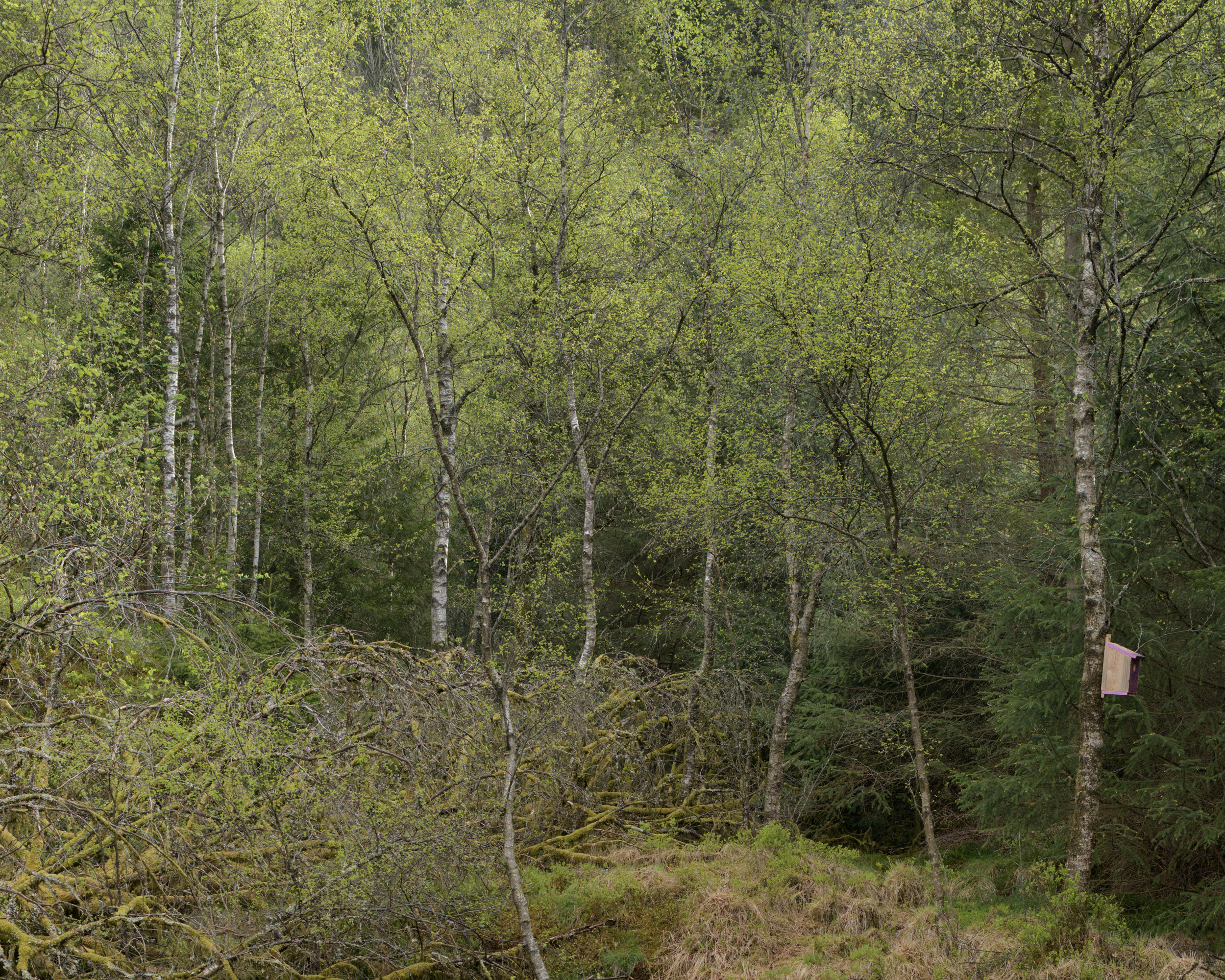 Te2511 KA HM Sædalen Kirke 2001